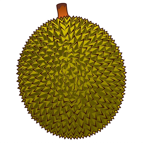Durian Classroom Fruit Transparent Sticker